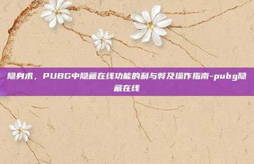 隐身术,PUBG中隐藏在线功能的利与弊及操作指南-pubg隐藏在线