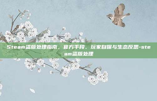 Steam盗版处理指南,官方手段、玩家自保与生态反思-steam盗版处理