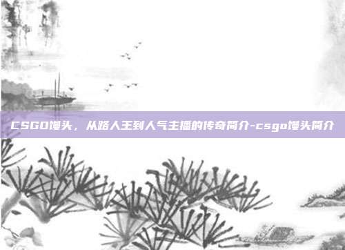CSGO馒头，从路人王到人气主播的传奇简介-csgo馒头简介