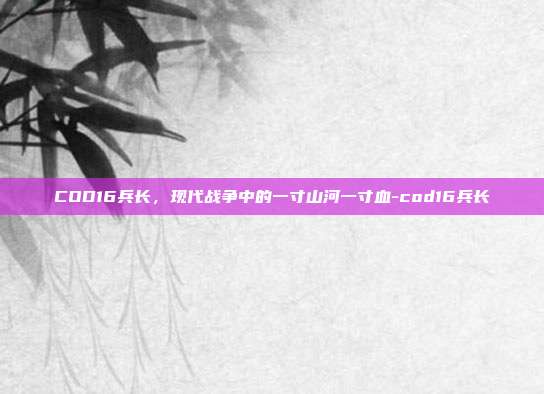 COD16兵长,现代战争中的一寸山河一寸血-cod16兵长