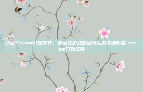 探秘Steam开始文件,隐藏在游戏启动背后的关键钥匙-steam开始文件