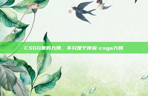 CSGO里的九姨，不只是个传说-csgo九姨