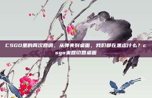 CSGO里的两次回调,从弹夹到桌面,我们都在焦虑什么?csgo来回切回桌面