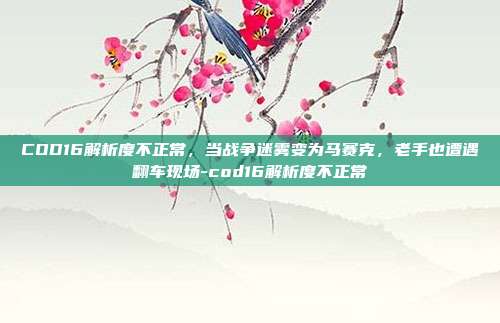 COD16解析度不正常,当战争迷雾变为马赛克,老手也遭遇翻车现场-cod16解析度不正常
