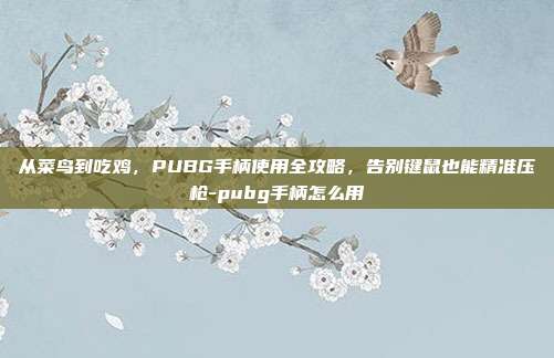 从菜鸟到吃鸡,PUBG手柄使用全攻略,告别键鼠也能精准压枪-pubg手柄怎么用