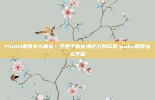 PUBG黑号怎么举报?手把手教你净化游戏环境-pubg黑号怎么举报