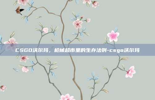 CSGO沃尔玛,枪械超市里的生存法则-csgo沃尔玛