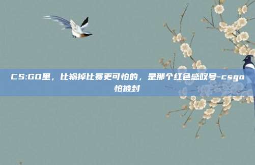 CS:GO里,比输掉比赛更可怕的,是那个红色感叹号-csgo怕被封