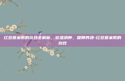 红豆薏米粥的功效全解析，祛湿消肿，健脾养颜-红豆薏米粥的功效