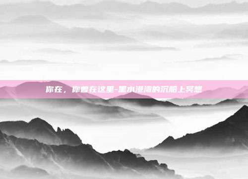 你在，你曾在这里-黑水港湾的沉船上冥想