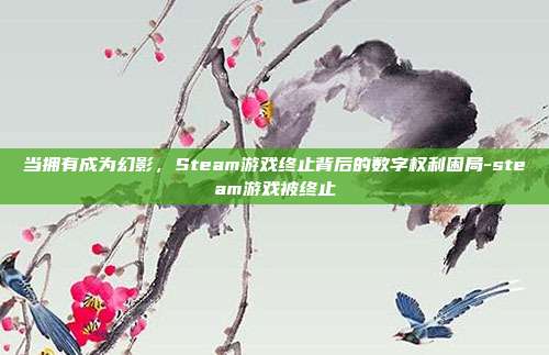 当拥有成为幻影,Steam游戏终止背后的数字权利困局-steam游戏被终止
