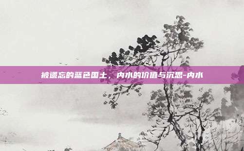 被遗忘的蓝色国土，内水的价值与沉思-内水
