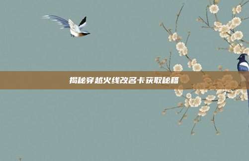 揭秘穿越火线改名卡获取秘籍