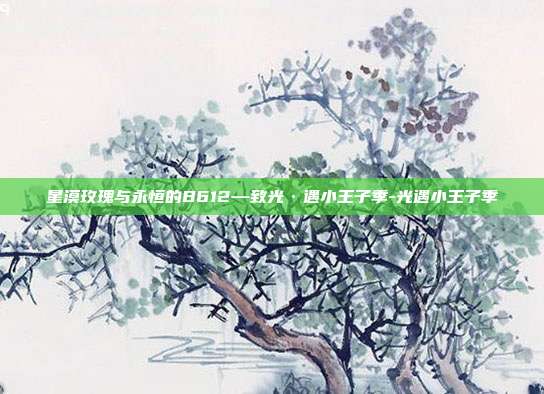 星漠玫瑰与永恒的B612—致光·遇小王子季-光遇小王子季