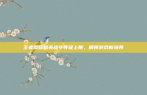 王者荣耀精英战令等级上限,解锁游戏新境界