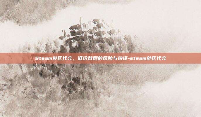 Steam外区代充，低价背后的风险与抉择-steam外区代充