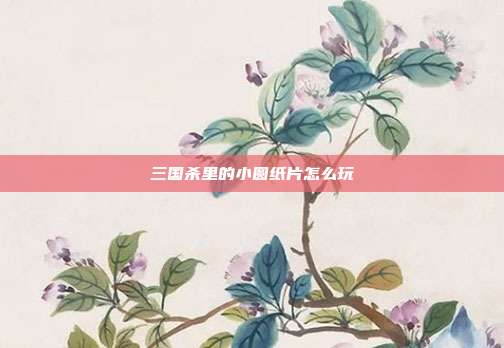 三国杀里的小圆纸片怎么玩