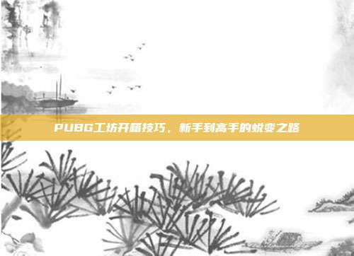 PUBG工坊开箱技巧,新手到高手的蜕变之路