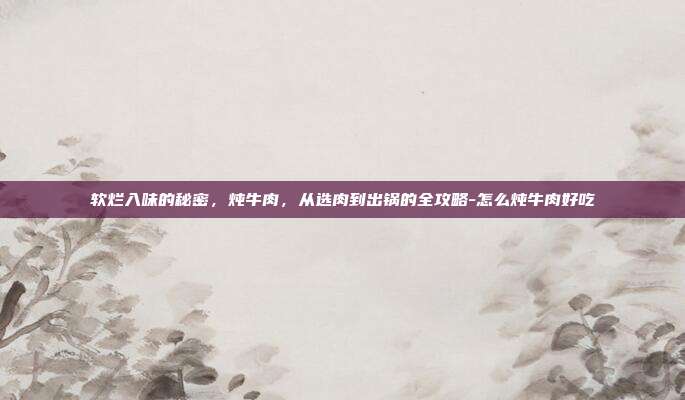 软烂入味的秘密，炖牛肉，从选肉到出锅的全攻略-怎么炖牛肉好吃