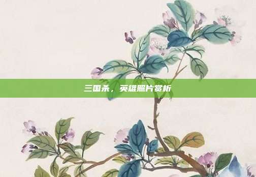 三国杀,英雄照片赏析