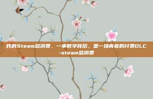 我的Steam总消费,一串数字背后,是一场青春的付费DLC-steam总消费