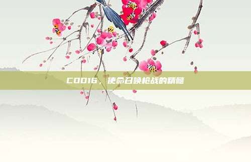 COD16，使命召唤枪战的精髓