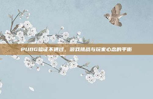 PUBG验证不通过，游戏挑战与玩家心态的平衡