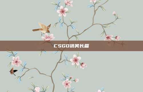 CSGO搞笑长篇