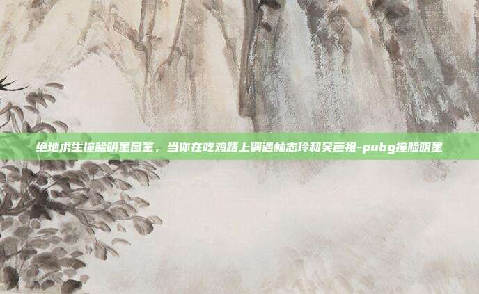 绝地求生撞脸明星图鉴，当你在吃鸡路上偶遇林志玲和吴彦祖-pubg撞脸明星