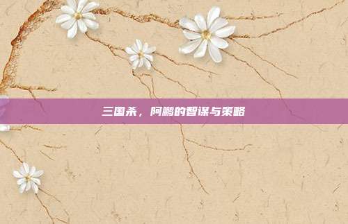 三国杀，阿鹏的智谋与策略