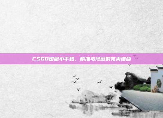 CSGO国服小手枪，精准与隐蔽的完美结合