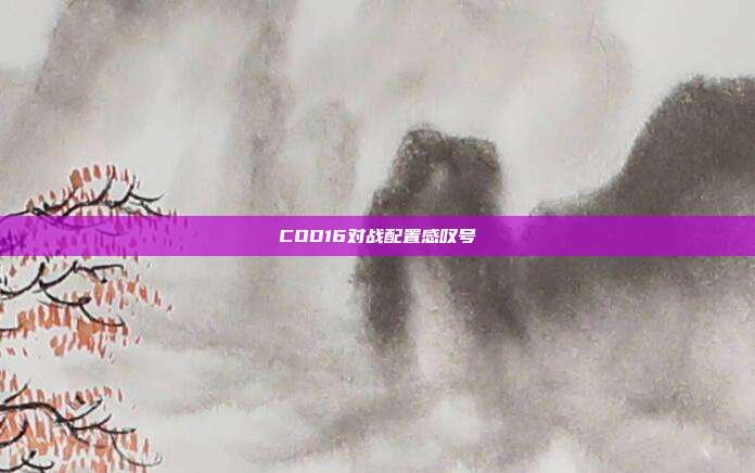 COD16对战配置感叹号