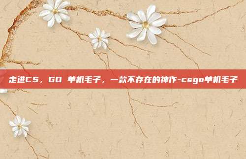 走进CS，GO 单机毛子，一款不存在的神作-csgo单机毛子