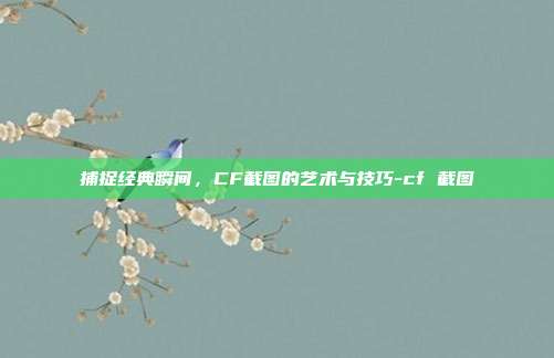 捕捉经典瞬间，CF截图的艺术与技巧-cf 截图