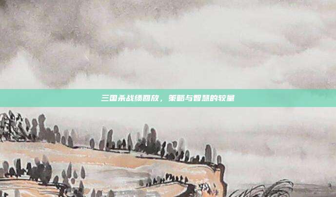 三国杀战绩回放，策略与智慧的较量