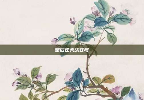 皇后逆天战苍穹