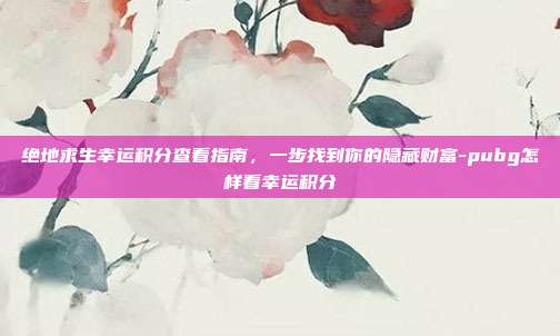 绝地求生幸运积分查看指南，一步找到你的隐藏财富-pubg怎样看幸运积分