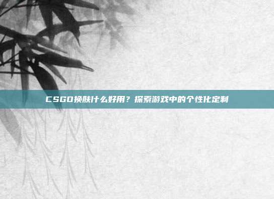 CSGO换肤什么好用?探索游戏中的个性化定制