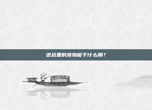 逆战里的宠物能干什么用？