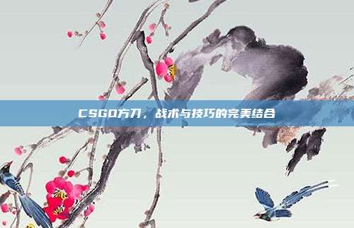 CSGO方刀，战术与技巧的完美结合