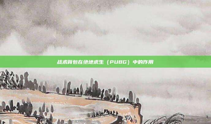 战术背包在绝地求生（PUBG）中的作用