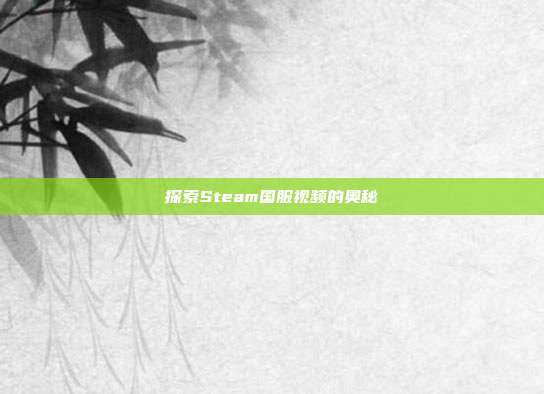 探索Steam国服视频的奥秘