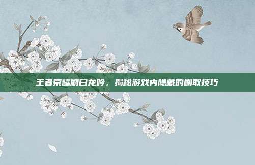 王者荣耀刷白龙吟,揭秘游戏内隐藏的刷取技巧