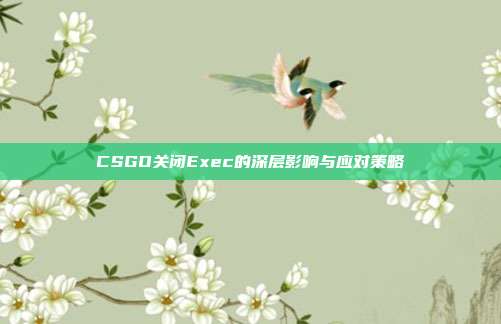 CSGO关闭Exec的深层影响与应对策略
