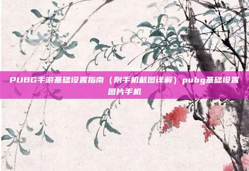PUBG手游基础设置指南（附手机截图详解）pubg基础设置图片手机