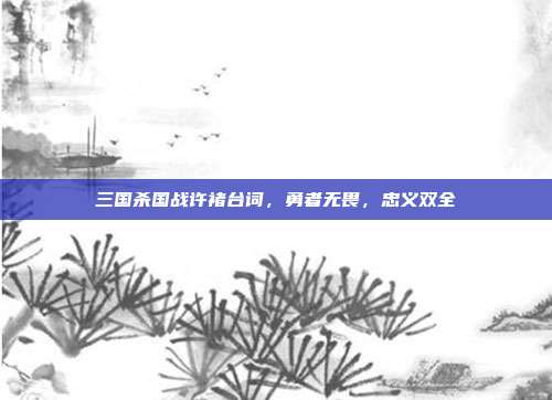 三国杀国战许褚台词,勇者无畏,忠义双全