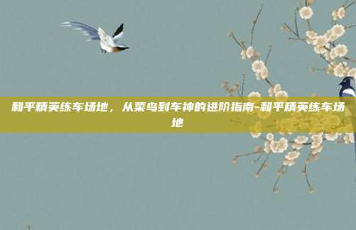 和平精英练车场地,从菜鸟到车神的进阶指南-和平精英练车场地