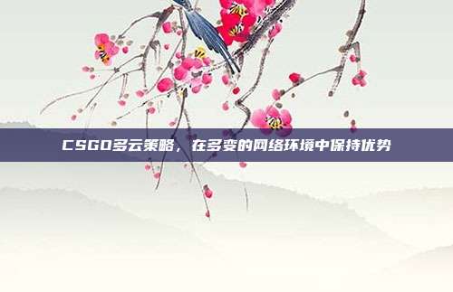 CSGO多云策略，在多变的网络环境中保持优势