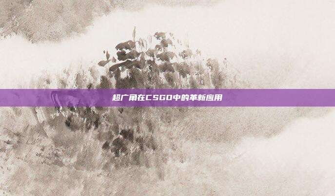 超广角在CSGO中的革新应用