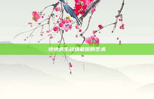 绝地求生战绩截图的艺术